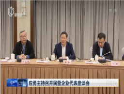 应勇主持召开民营企业代表座谈会